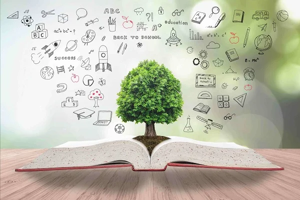 Equality Education System For Society